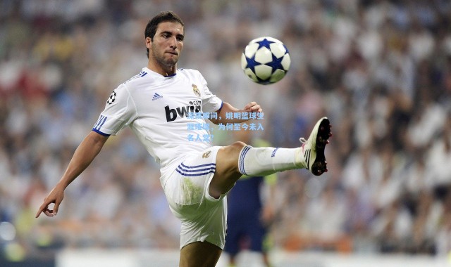 深夜叩问，姚明篮球生涯璀璨，为何至今未入名人堂？