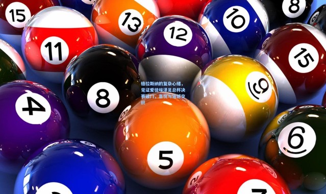 格拉斯纳的复杂心绪，见证爱徒埃泽足总杯决赛破门，喜悦与遗憾交织