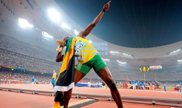 懂球译站｜探访挪威秘境，哈兰德故乡的足球朝圣之旅，揭秘天才成长轨迹